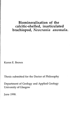 Biomineralisation of the Calcitic-Shelled, Inarticulated Brachiopod, Neocrania Anomala