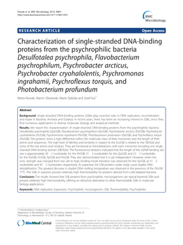 Characterization of Single-Stranded DNA-Binding Proteins from The