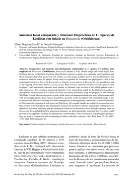 Anatomía Foliar Comparada Y Relaciones Filogenéticas De 11 Especies De Laeliinae Con Énfasis En Brassavola (Orchidaceae)