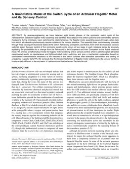 A Quantitative Model of the Switch Cycle of an Archaeal Flagellar Motor and Its Sensory Control