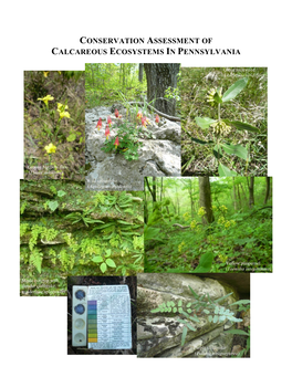 Conservation Assessment of Calcareous Ecosystems in Pennsylvania