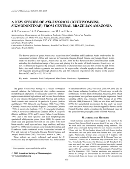 A New Species of Neusticomys (Ichthyomyini, Sigmodontinae) from Central Brazilian Amazonia