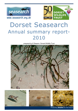 Dorset Summary 2010.Pdf