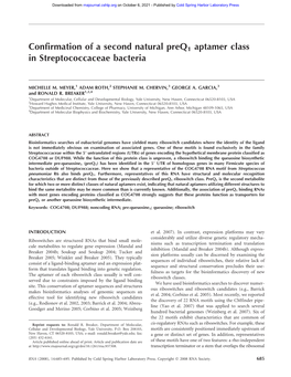 Confirmation of a Second Natural Preq1 Aptamer Class in Streptococcaceae Bacteria