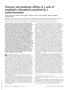 Structure and Membrane Affinity of a Suite of Amphiphilic Siderophores Produced by a Marine Bacterium