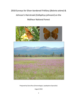 Boloria Selene) & Johnson's Hairstreak (Callophrys Johnsoni