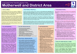 A Snapshot of the Voluntary Sector in the Motherwell and District Area