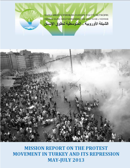 GEZI-REPORT.Pdf