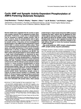 Cyclic AMP and Synaptic Activity-Dependent Phosphorylation of AMPA-Preferring Glutamate Receptors