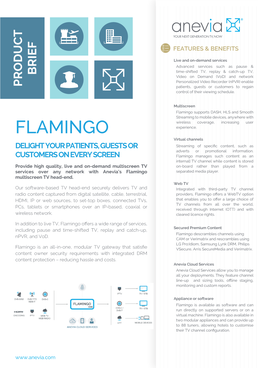 FLAMINGO Content Protection–Reducinghassleandcosts