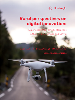 Rural Perspectives on Digital Innovation