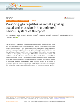 Wrapping Glia Regulates Neuronal Signaling Speed and Precision in the Peripheral Nervous System of Drosophila