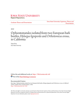 Ophiostomatales Isolated from Two European Bark Beetles, <I