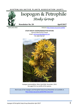 Isopogon & Petrophile