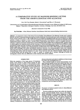 A Comparative Study of Mannose-Binding Lectins from the Amaryllidaceae and Alliaceae