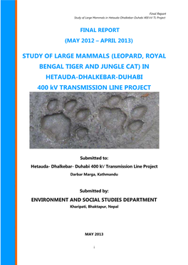 Final Report Large Mammals