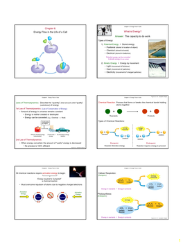 Chapter 6: Energy Flow in the Life of a Cell What Is Energy? Answer: the Capacity to Do Work