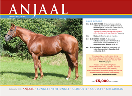 Stallions for 2019: ANJAAL • BUNGLE INTHEJUNGLE • CLODOVIL