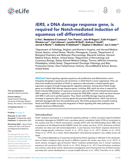 IER5, a DNA Damage Response Gene, Is Required for Notch-Mediated