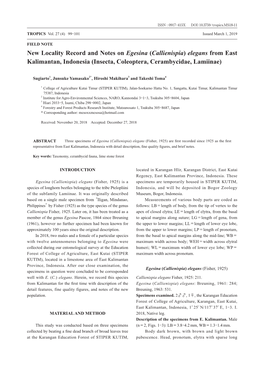 Elegans from East Kalimantan, Indonesia (Insecta, Coleoptera, Cerambycidae, Lamiinae)