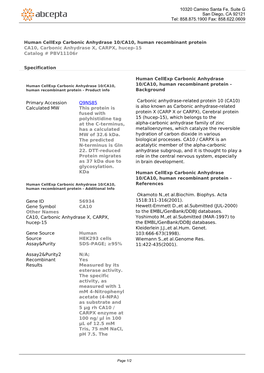 Human Cellexp Carbonic Anhydrase 10/CA10, Human Recombinant Protein CA10, Carbonic Anhydrase X, CARPX, Hucep-15 Catalog # Pbv11106r