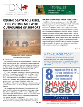 Equine Death Toll Rises