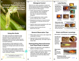 A Pocket Guide to Common Natural Enemies of Crop and Garden Pests in the Pacific Northwest