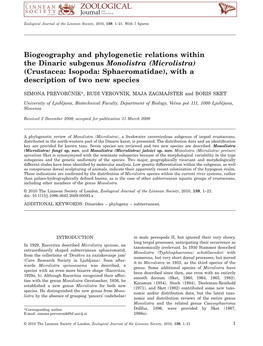 Biogeography and Phylogenetic Relations Within the Dinaric