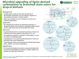 The Bioenergy Science Center an Integrated Strategy to Understand