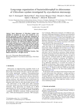 Long-Range Organization of Bacteriochlorophyll in Chlorosomes of Chlorobium Tepidum Investigated by Cryo-Electron Microscopy