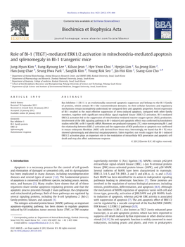 Role of BI-1 (TEGT)-Mediated ERK1/2 Activation in Mitochondria-Mediated Apoptosis and Splenomegaly in BI-1 Transgenic Mice