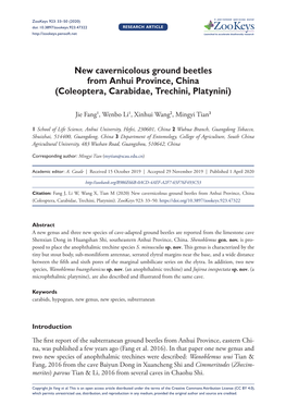 New Cavernicolous Ground Beetles from Anhui Province, China (Coleoptera, Carabidae, Trechini, Platynini)