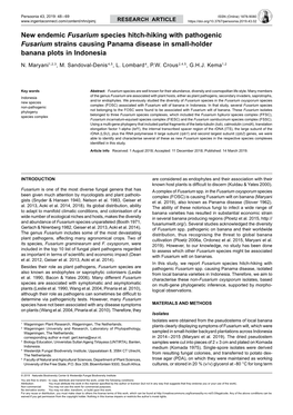 New Endemic Fusarium Species Hitch-Hiking with Pathogenic Fusarium Strains Causing Panama Disease in Small-Holder Banana Plots in Indonesia