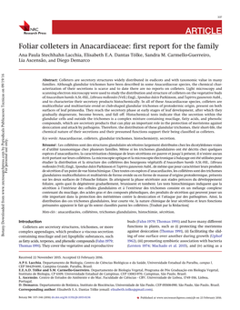 Foliar Colleters in Anacardiaceae: First Report for The