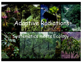 Adaptive Radiations