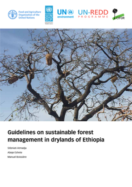 Guidelines on Sustainable Forest Management in Drylands of Ethiopia