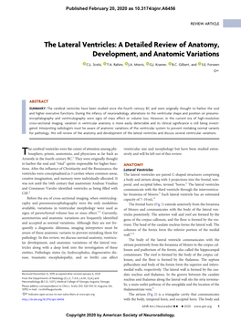 The Lateral Ventricles: a Detailed Review of Anatomy, Development, and Anatomic Variations