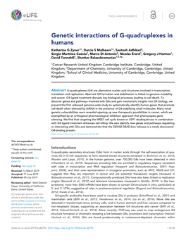 Genetic Interactions of G-Quadruplexes in Humans