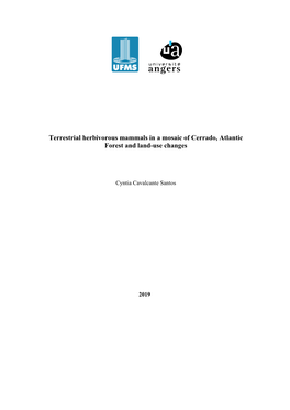 Terrestrial Herbivorous Mammals in a Mosaic of Cerrado, Atlantic Forest and Land-Use Changes