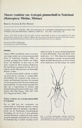 Nieuwe Vondsten Van Acetropis Gimmerthalii in Nederland (Heteroptera: Miridae, Mirinae)