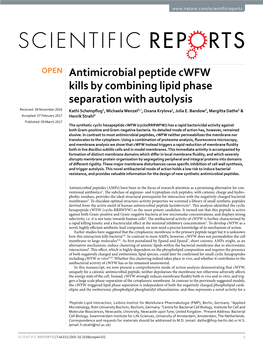 Antimicrobial Peptide Cwfw Kills by Combining Lipid Phase Separation with Autolysis