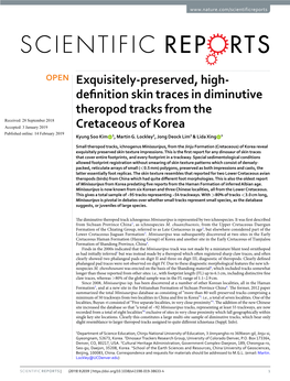 Exquisitely-Preserved, High-Definition Skin Traces in Diminutive Theropod