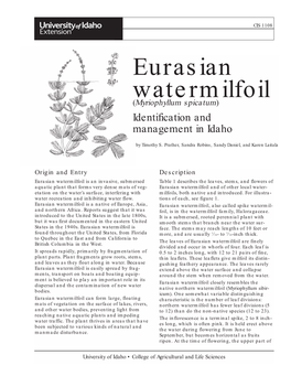 Eurasian Watermilfoil (Myriophyllum Spicatum) Identification and Management in Idaho