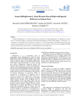 Genus Ophioglossum L., from Western Part of India with Special Reference to Gujarat State