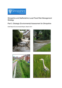 Shropshire and Staffordshire Local Flood Risk Management Strategy