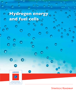 Hydrogen Energy and Fuel Cells