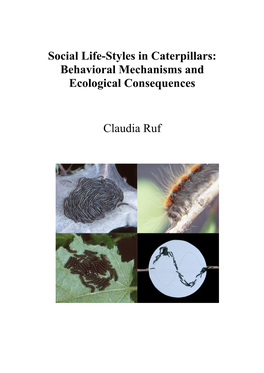 Social Life-Styles in Caterpillars: Behavioral Mechanisms and Ecological Consequences Claudia