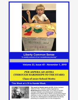 LCS Liberty Common Sense 11.1.19