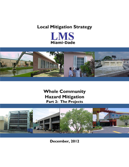 Local Mitigation Strategy Whole Community