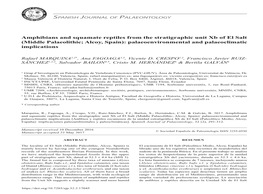 Amphibians and Squamate Reptiles from the Stratigraphic Unit Xb of El Salt (Middle Palaeolithic; Alcoy, Spain): Palaeoenvironmental and Palaeoclimatic Implications